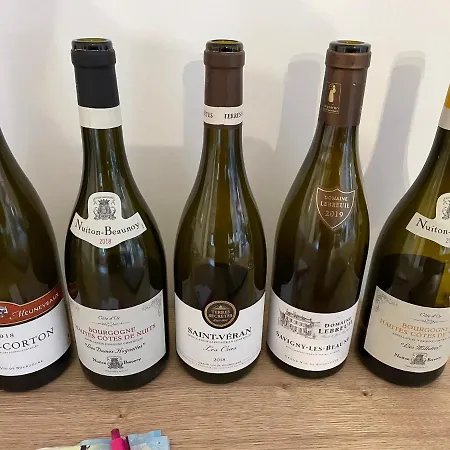 Les Terrasses De Notre Dame Beaune (Cote d'Or)