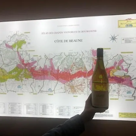 Les Terrasses De Notre Dame Apartamento