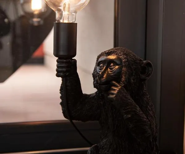 Les Terrasses De Notre Dame