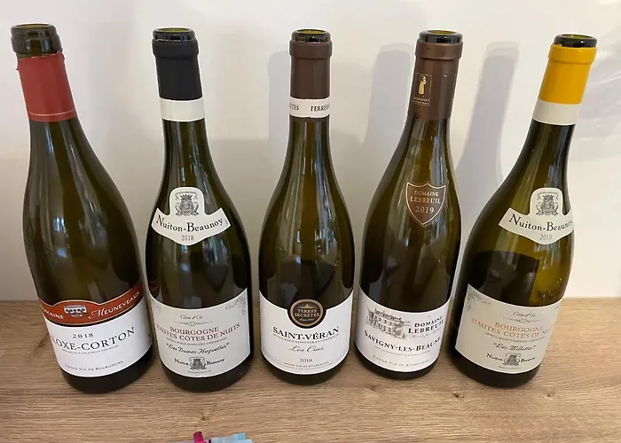 Les Terrasses De Notre Dame Beaune (Cote d'Or)