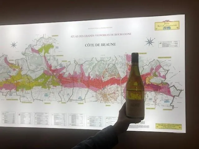 Les Terrasses De Notre Dame Appartement