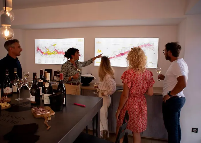 Les Terrasses De Notre Dame Appartement *